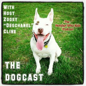 Dogcast