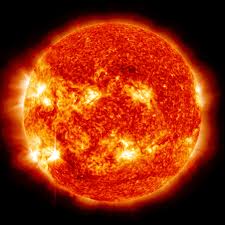 Who needs food when I have the Sun?