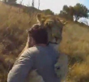 huglion