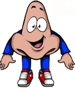 nose