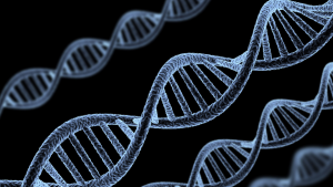 genes