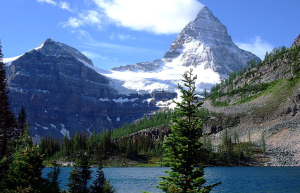 rockies