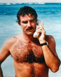 selleck