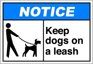 leash